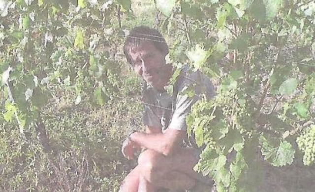 Le dernier vignoble Gessien